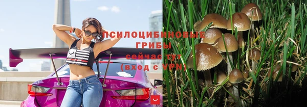 Альфа ПВП Верея