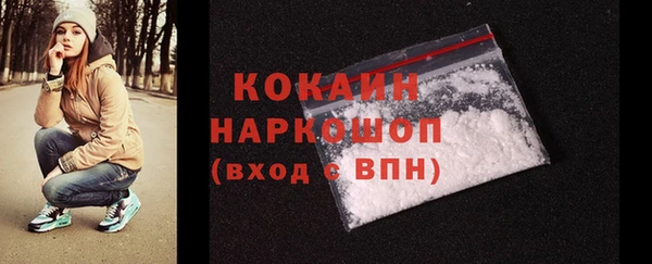 Альфа ПВП Верея
