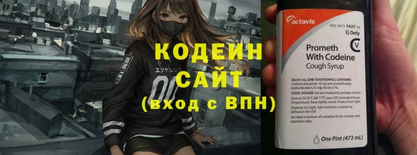 Альфа ПВП Верея